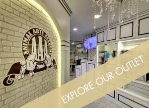 aaa-serangoon-indoor