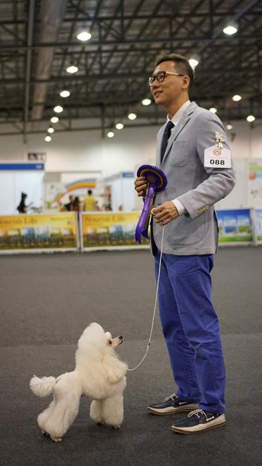 LOBRUNO18010862_10155314194049759_4327538961618470469_n