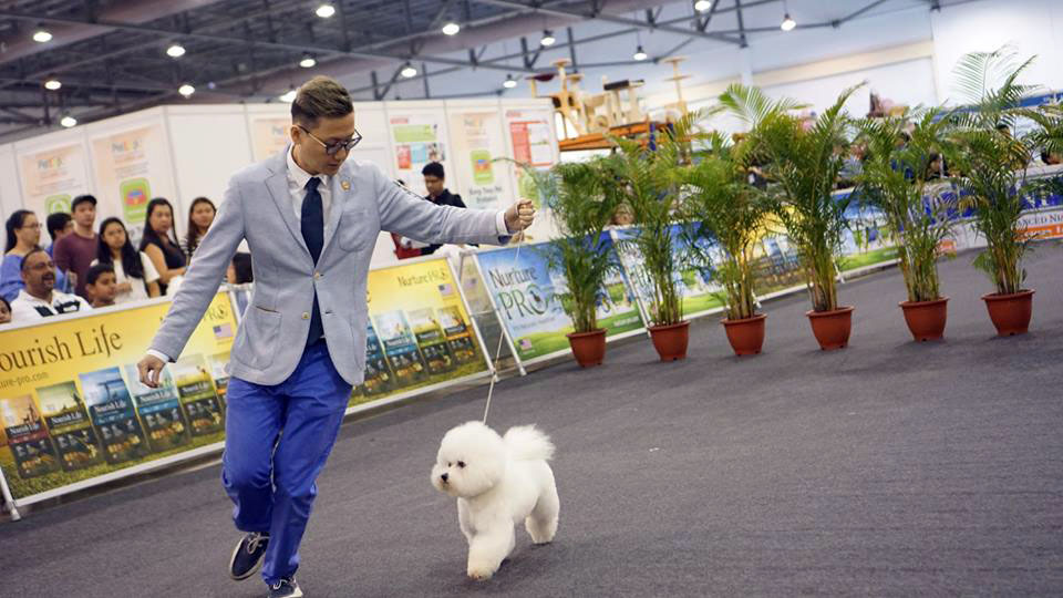 LOJAYDEN18010799_10155314192969759_489375211519398469_n