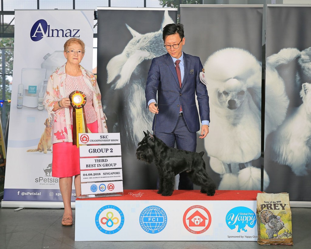 WhatsApp Image 2018-08-06 at 10.03.56 AM (1)