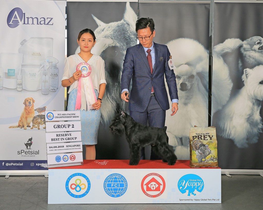 WhatsApp Image 2018-08-06 at 10.03.56 AM