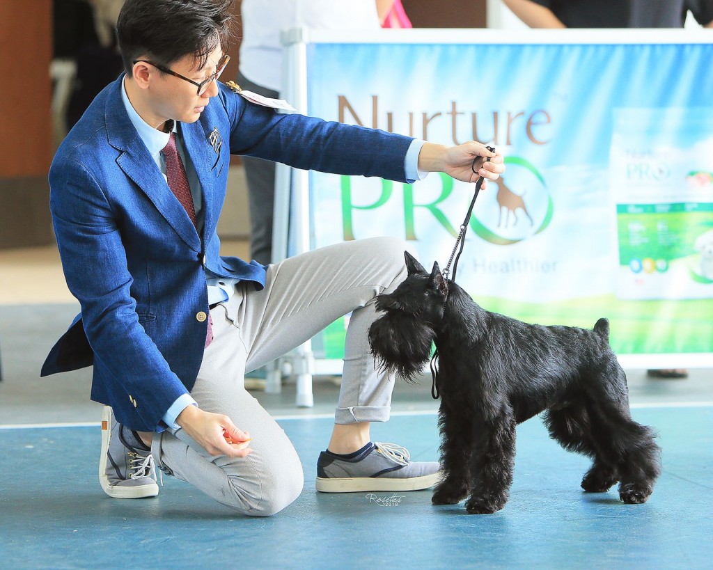 WhatsApp Image 2018-08-06 at 10.03.57 AM (1)