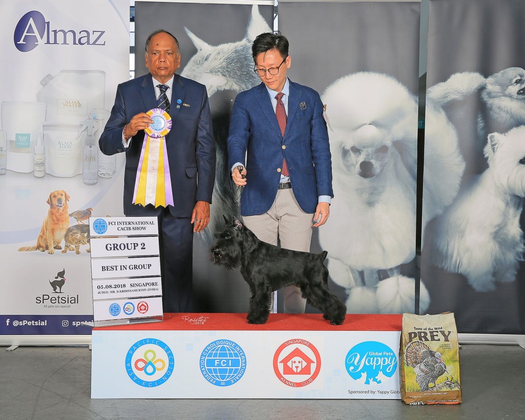 WhatsApp Image 2018-08-06 at 10.03.57 AM