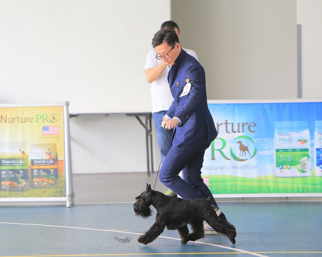 WhatsApp Image 2018-08-06 at 10.03.58 AM (1)